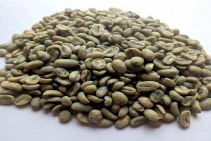 Chicchi di caffè crudi from Etiopia